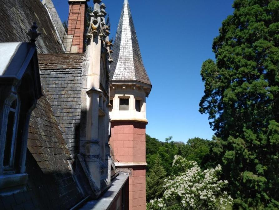 Chateau De La Vernede, La Grande Vernede Saint-Remy-de-Chargnat Exterior photo